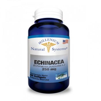 Echinacea 250 mg Natural Systems