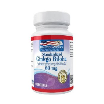 Ginkgo Biloba 60 mg Healthy America