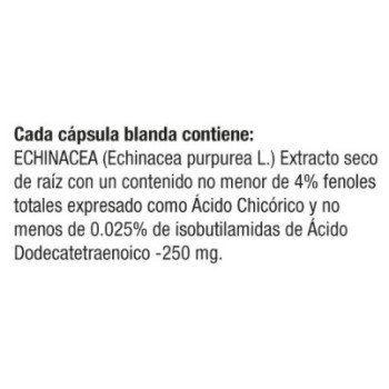 Echinacea 250 mg Natural Systems 2