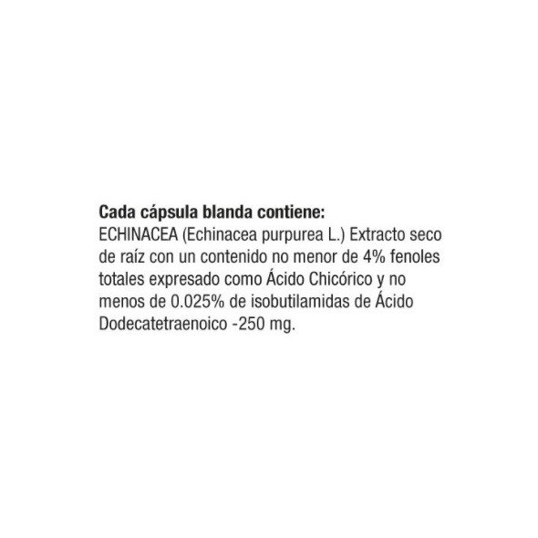 Echinacea 250 mg Natural Systems