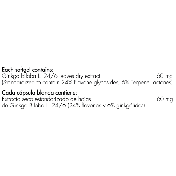 Ginkgo Biloba 60 mg Healthy America
