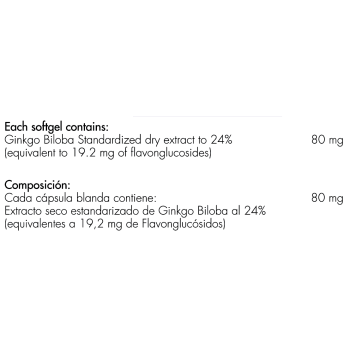 Ginkgo Biloba 80 mg Healthy America 2