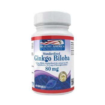 Ginkgo Biloba 80 mg Healthy America