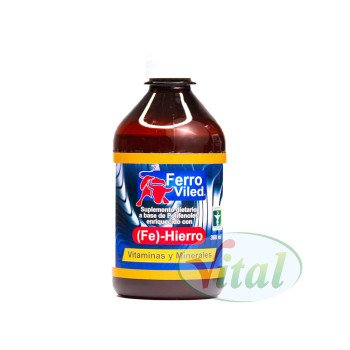 Ferroviled Jarabe Ledmar 2