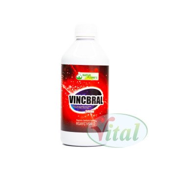 Vincbral Jarabe Naturflome's 2