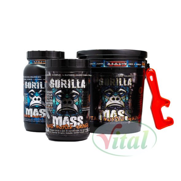 Gorilla Mass 2 Libras