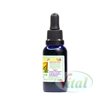 Aceite de Marihuana (Cannabis) 2